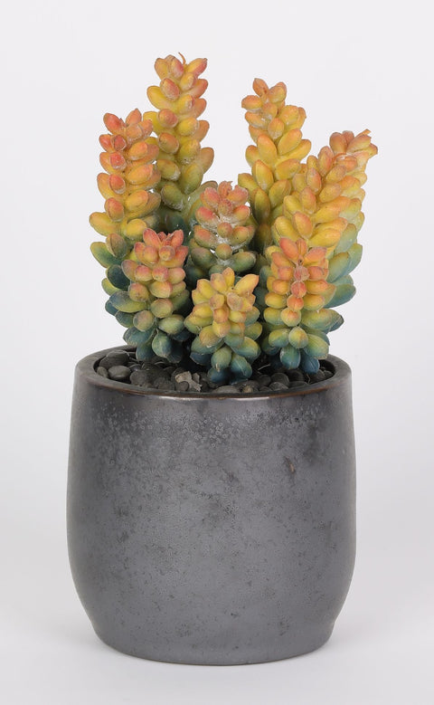 5.5*7.5''Greenery Succulent Arrangement Décor