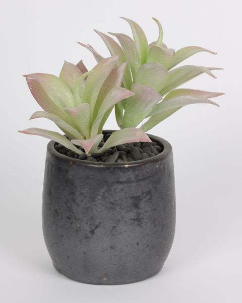 4*7.25''Greenery Succulent Arrangement Décor