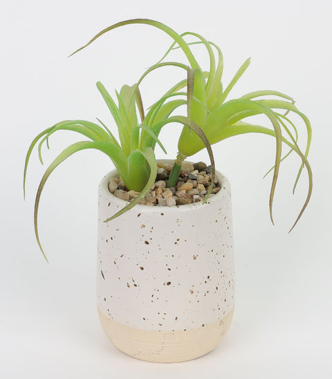 3*6.75''Greenery Arrangement Décor