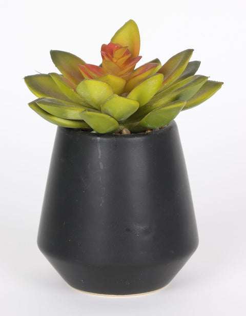 3.375*5.5''Greenery Succulent Arrangement Décor