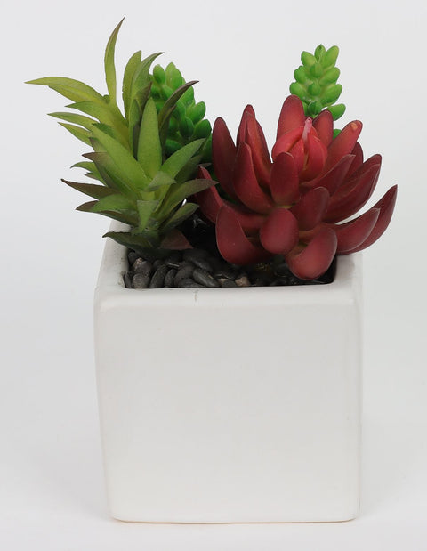3.625*3.625*7''Greenery Succulent Arrangement Décor