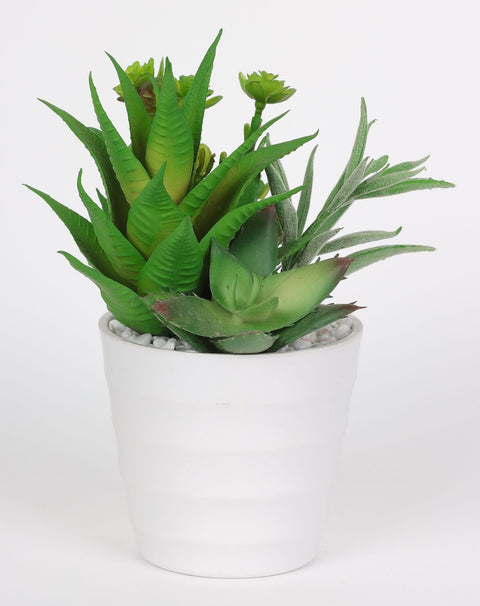 3.75*7.5''Greenery Succulent Arrangement Décor