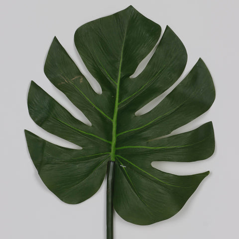 9.5*29.0‘’ Monstera Leaf Stem