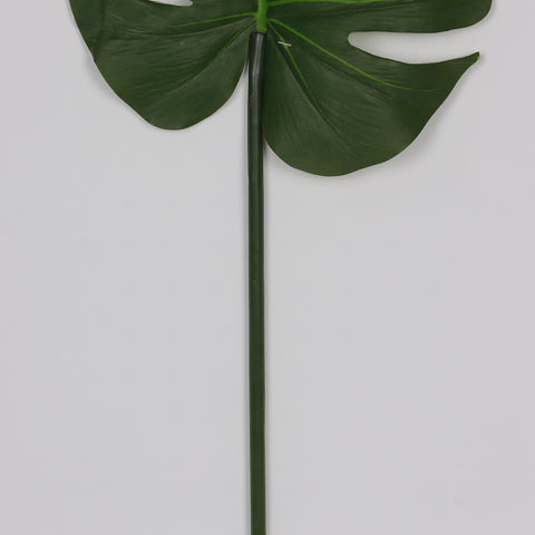 9.5*29.0‘’ Monstera Leaf Stem