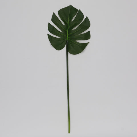9.5*29.0‘’ Monstera Leaf Stem