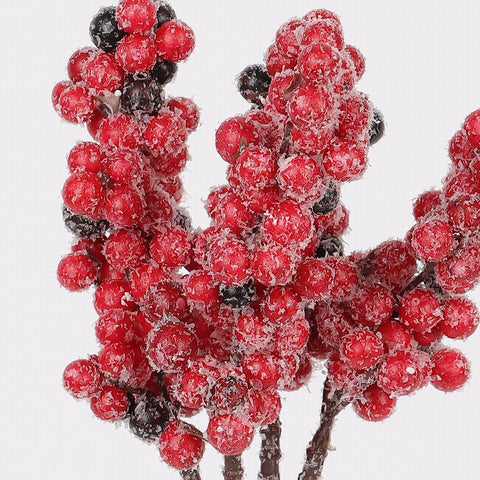 10IN BERRIES PICK