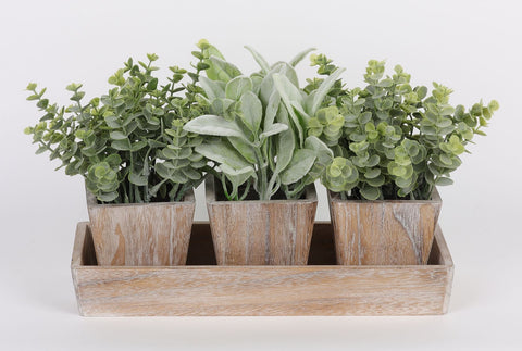 Set of 3 Small Potted Artificial Eucalyptus Plants in Wood Box Tray: Enhance Your Home Decor with this 16x6.25x10.5" Botanical Set