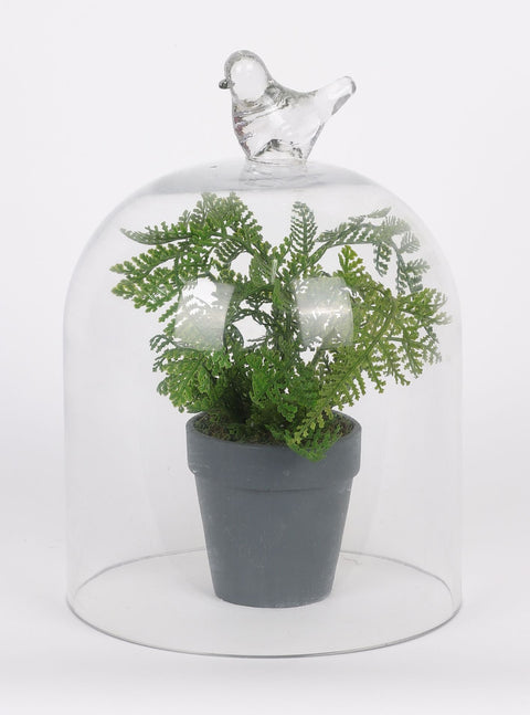 7*13 In Glass  W/Artificial Plant