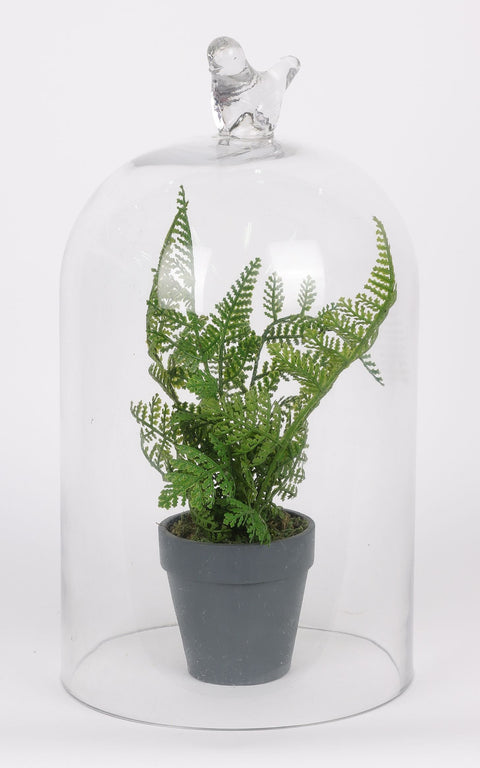 7*10 In Glass W/Artificial Plant