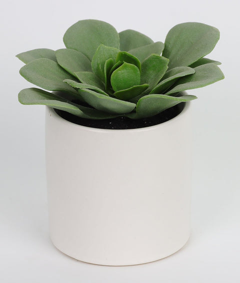 2.875*4''Greenery Succulent Arrangement Décor