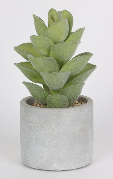 3.75 X 8.25''Greenery Succulent Arrangement Décor