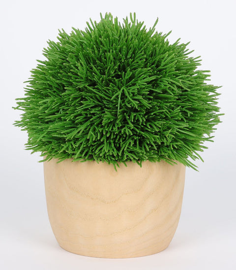 6*7''Greenery  Arrangement Décor