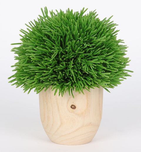 4.25*5''Greenery  Arrangement Décor