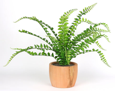 6*16''Greenery Leaves Arrangement Décor