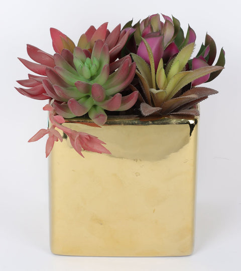 4.75*4.75*8.75''Greenery Succulent Arrangement Décor