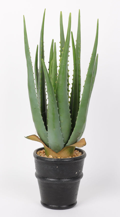 5*17.75''Greenery Aloe Arrangement Décor