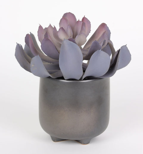 4.5*4.75''Greenery Succulent Arrangement Décor