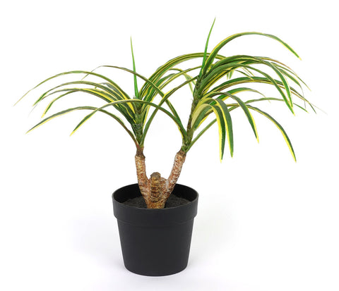3.75*11.25'' Greenery Arrangement Décor