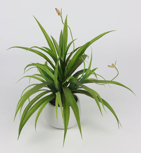 4.5*16 po DÉCOR DE VERDURE