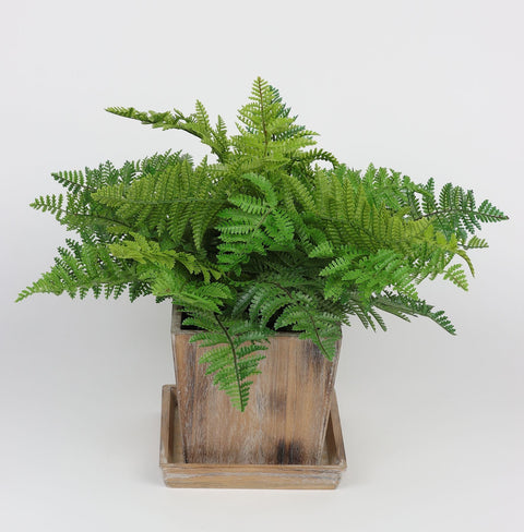 6.875*6.875*13 EN DÉCOR DE VERDURE