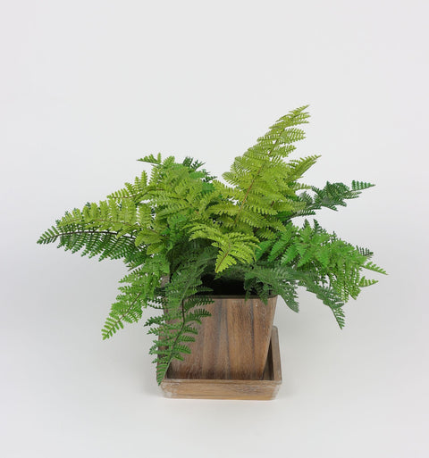 5.875*5.875*11 EN DÉCOR DE VERDURE