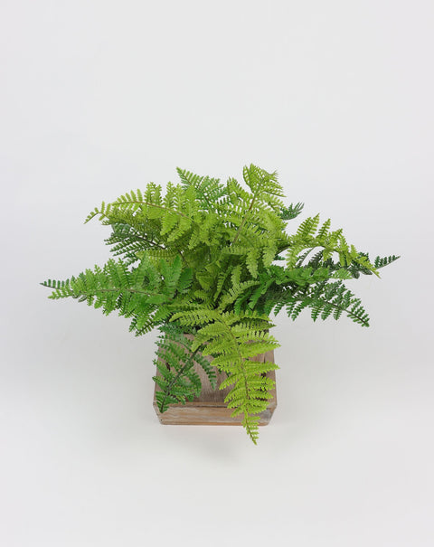 4.875*4.875*10 EN DÉCOR DE VERDURE