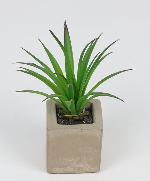 2.25*2.25*6.5 EN DÉCOR DE VERDURE