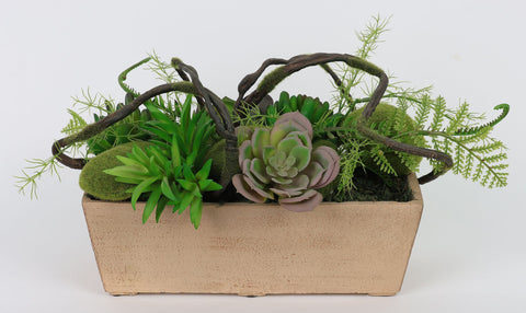 DÉCOR ARRANGEMENT SUCCULENT 12*8*8'' VERDURE