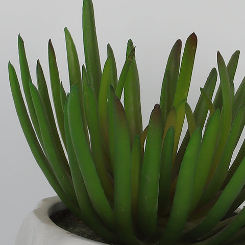 4.75''*6'' Succulent Greenery Décor