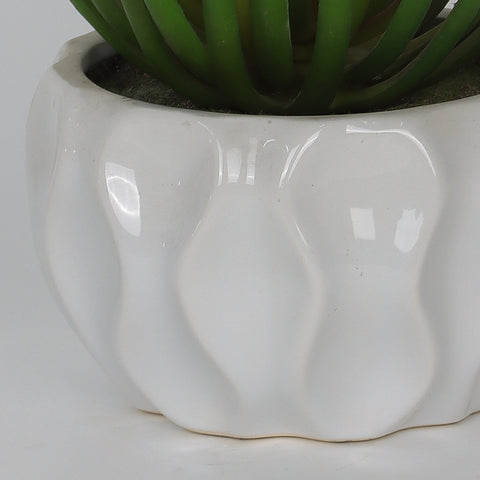 4.75''*6'' Succulent Greenery Décor