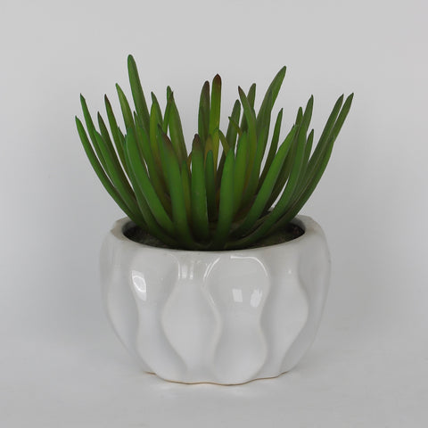 4.75''*6'' Succulent Greenery Décor