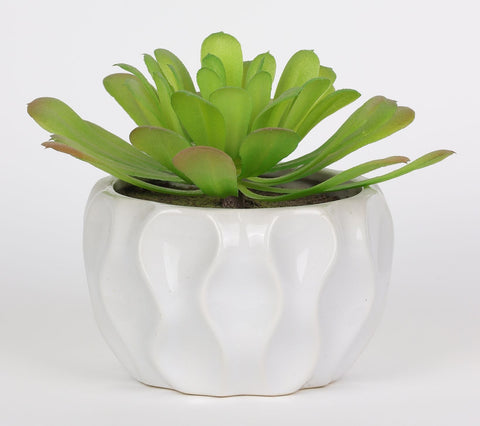 4.75*5''Greenery Succulent Arrangement Décor
