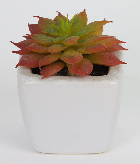2*3''Greenery Succulent Arrangement Décor