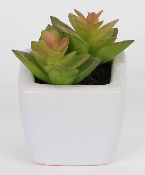 2*2*2.75''Greenery Succulent Arrangement Décor