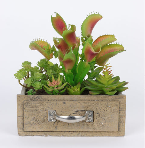 9*4.75*10'' VERDURE DÉCOR DE SUCCULENTES