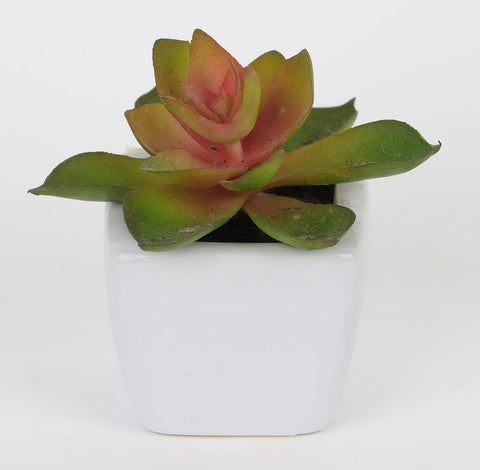 2*3''Greenery Succulent Arrangement Décor