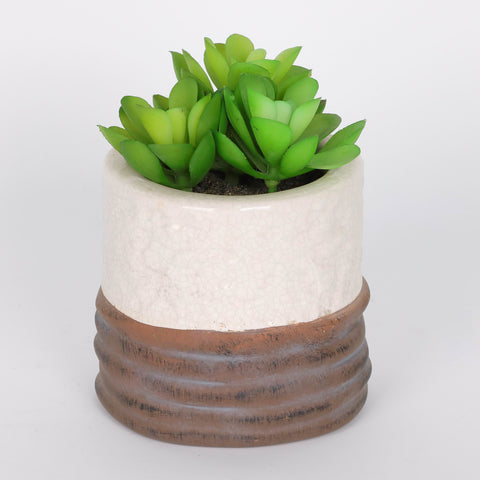 Faux Petite Succulent Greenery Decor for Delicate Home Accents - 5 Inch