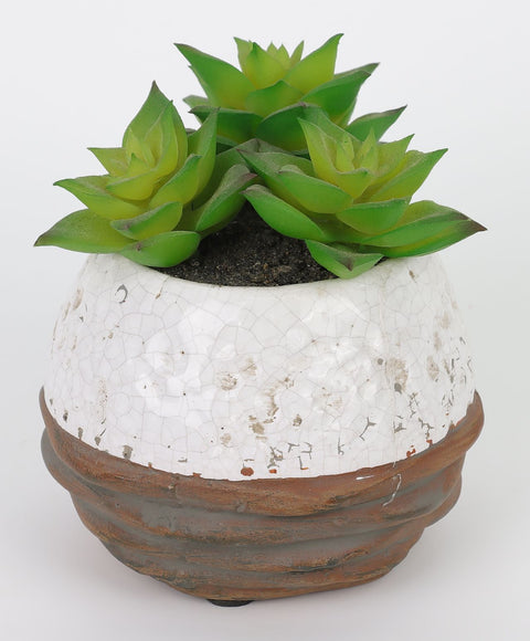 4*4''Greenery Succulent Arrangement Décor