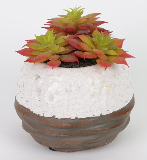4*4''Greenery Succulent Arrangement Décor