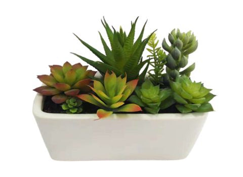 Faux Succulent - Stunning 7.25" Succulent for Vibrant Home Decor