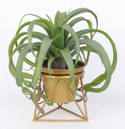 12*11.5''Greenery Arrangement Décor