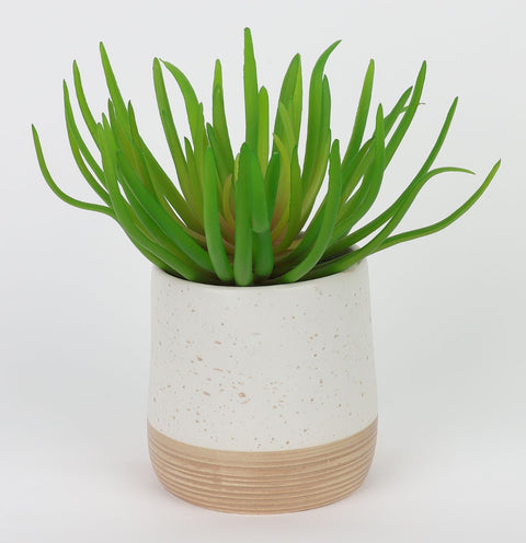 Faux Succulent Arrangement: Add a Natural Touch to Your Home Decor with this 7x7.5