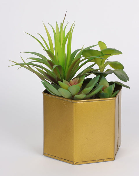 6*6.5''Greenery Succulent Arrangement Décor