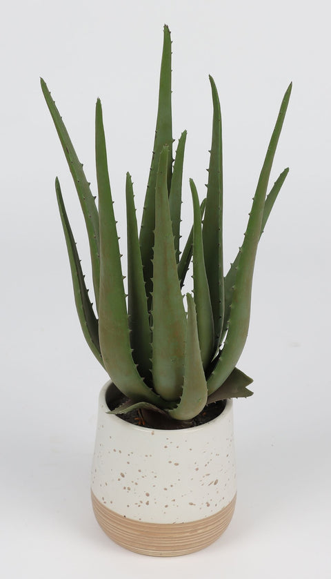 Faux Potted Succulent Decor: Add Natural Beauty to Your Home with this 9.5x15" Greenery Piece 
