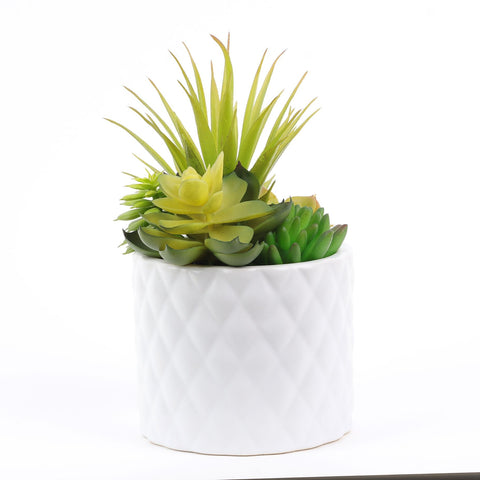 Elegant Faux Marble Succulent - 7.5" Succulent Marble Accent for Sophisticated Home Decor