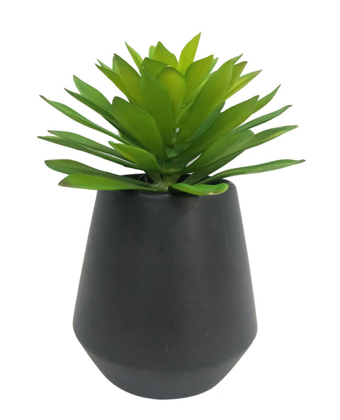 Faux Succulent - Stunning 9" Succulent for Vibrant Home Decor