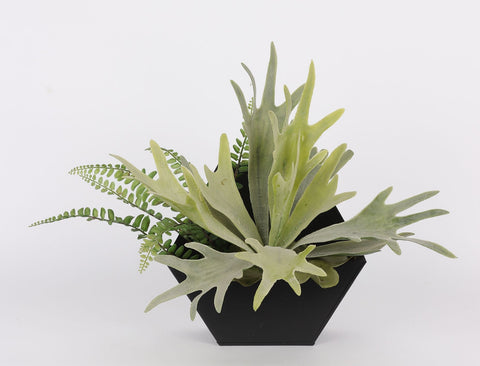 DÉCOR VERDURE 15*11*11''