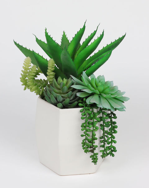 10*9*13 DÉCOR SUCCULENT