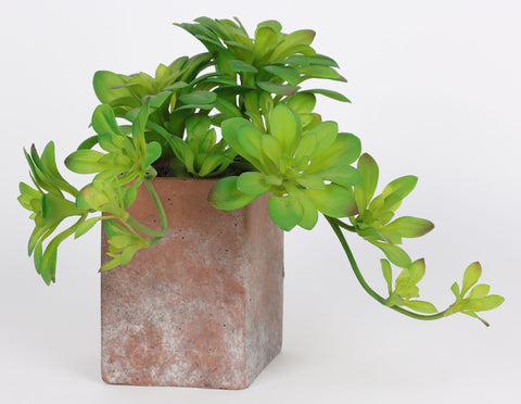 6*8''Greenery Succulent Arrangement Décor