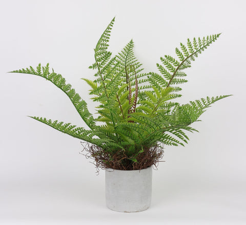 DÉCOR DE VERDURE 4.25*17''